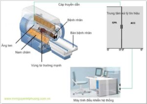Ứng dụng của nam châm trong y học
