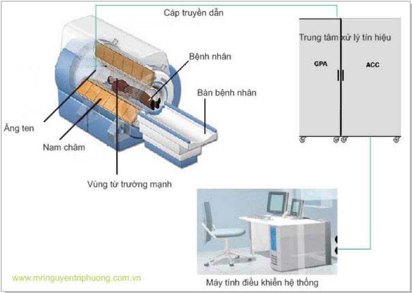 Ứng dụng của nam châm trong y học